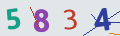 verifycode